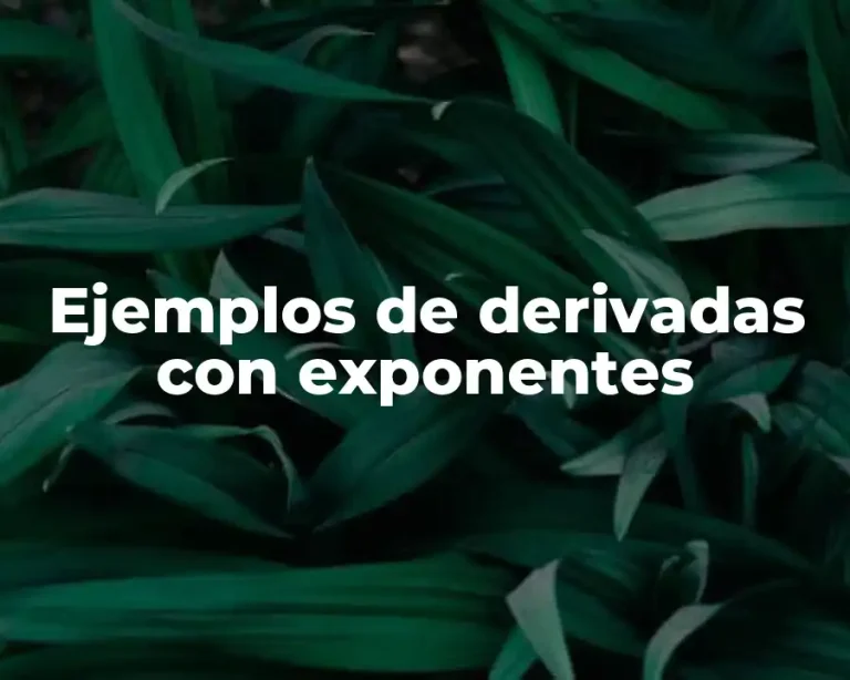 Ejemplos de derivadas con exponentes
