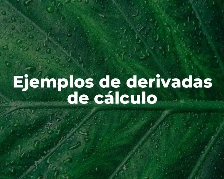 Ejemplos de derivadas de cálculo
