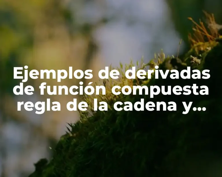 Ejemplos de derivadas de función compuesta regla de la cadena y Significado