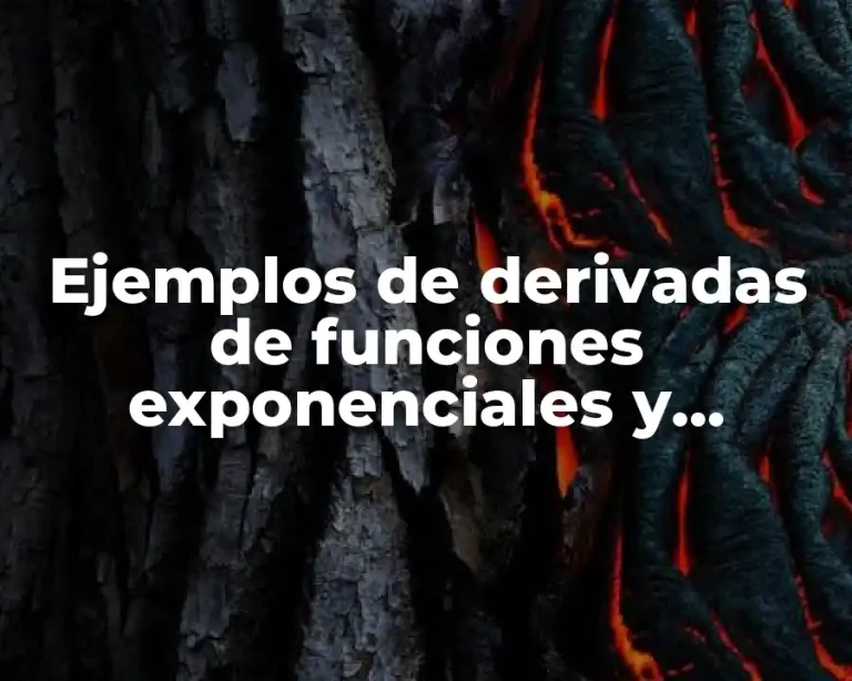 Ejemplos de derivadas de funciones exponenciales y logarítmicas