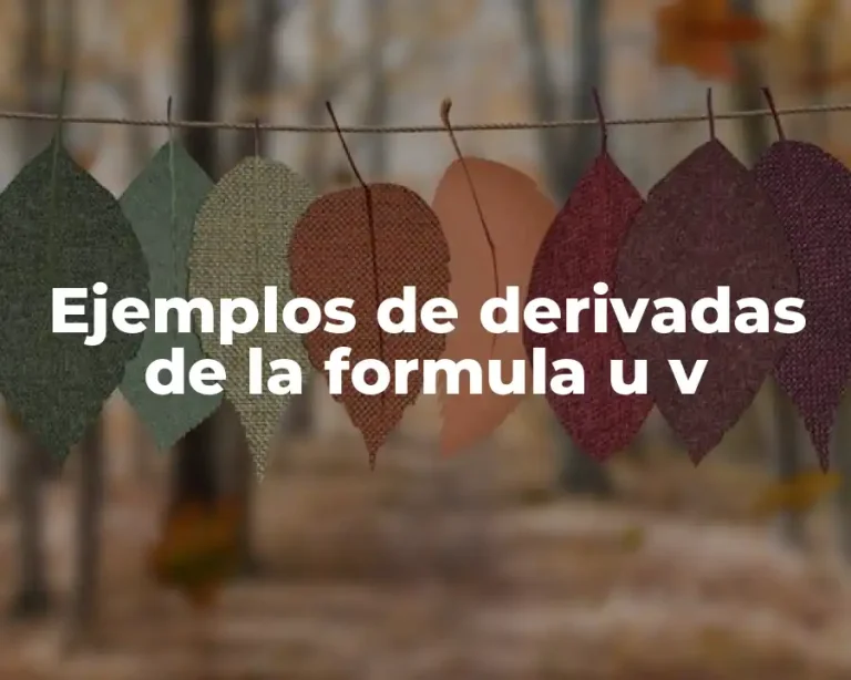 Ejemplos de derivadas de la formula u v