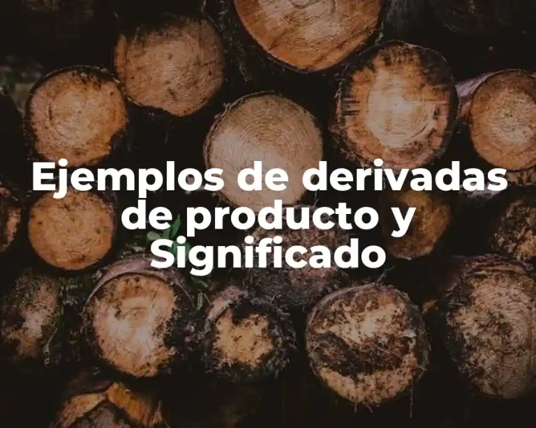 Ejemplos de derivadas de producto y Significado