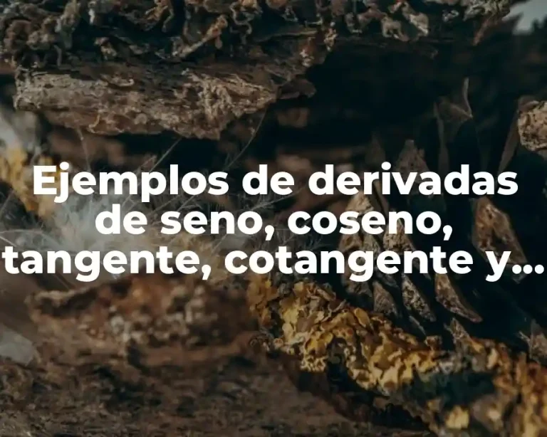 Ejemplos de derivadas de seno, coseno, tangente, cotangente y cosecante