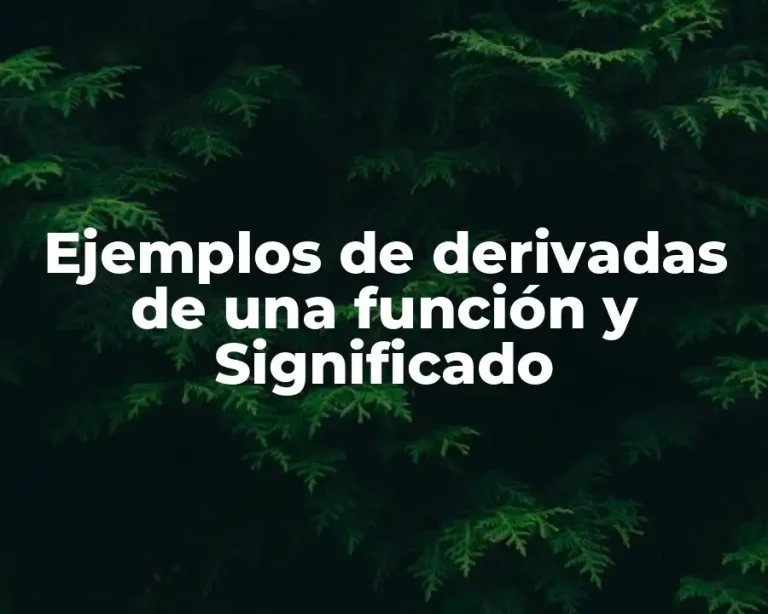 Ejemplos de derivadas de una función y Significado