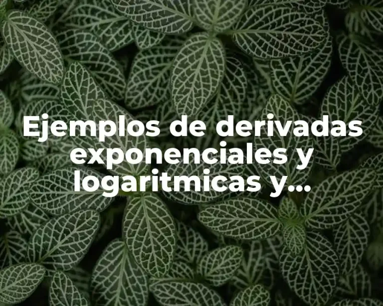 Ejemplos de derivadas exponenciales y logaritmicas y Significado