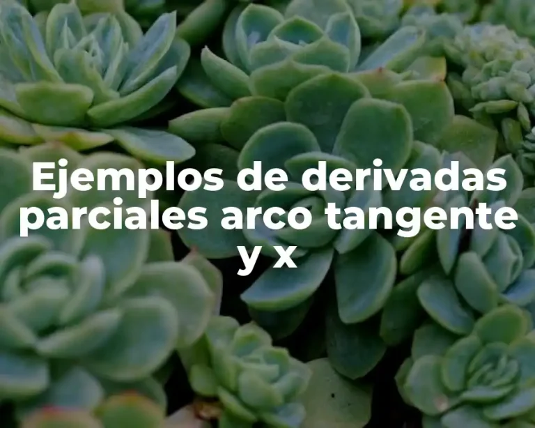 Ejemplos de derivadas parciales arco tangente y x