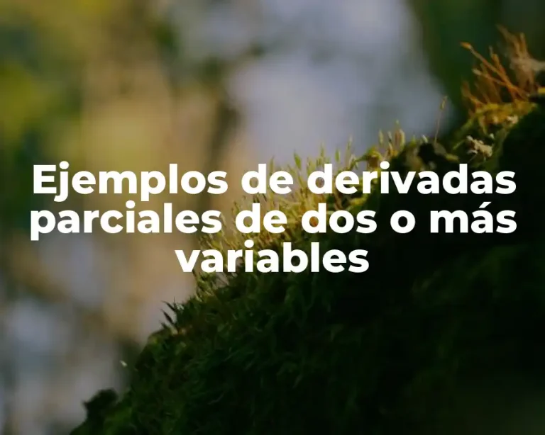 Ejemplos de derivadas parciales de dos o más variables
