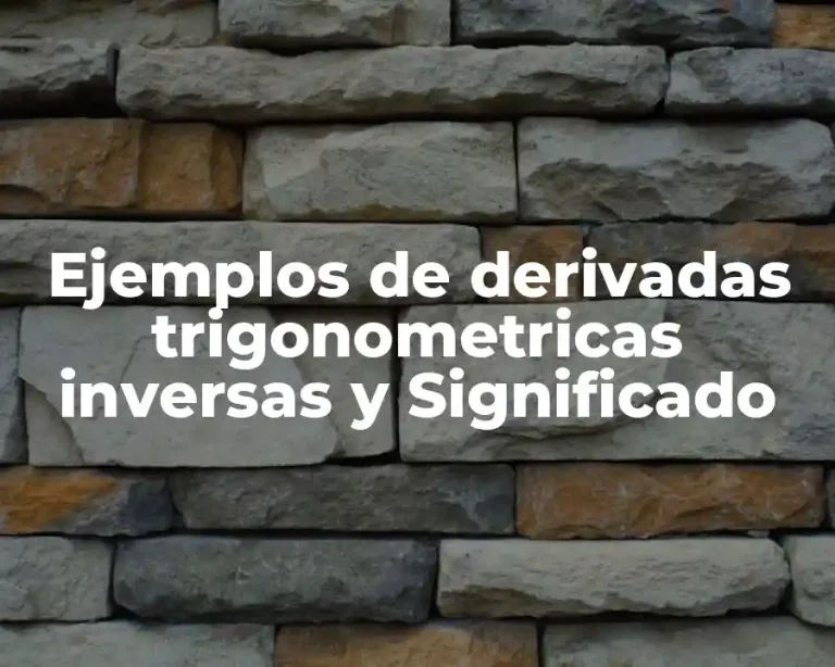Ejemplos de derivadas trigonometricas inversas y Significado