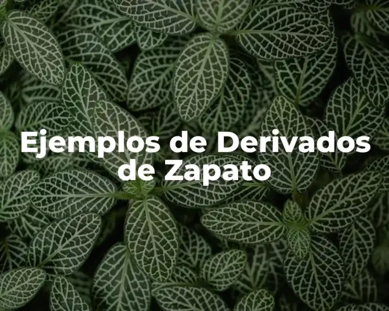 Ejemplos de Derivados de Zapato