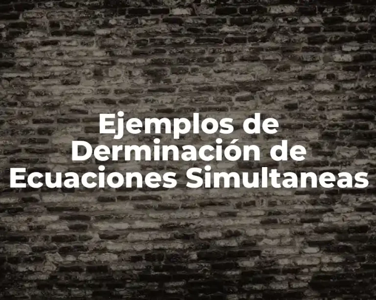 Ejemplos de Derminación de Ecuaciones Simultaneas