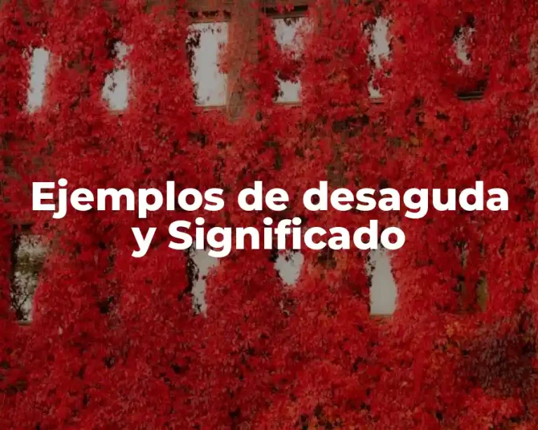 Ejemplos de desaguda y Significado
