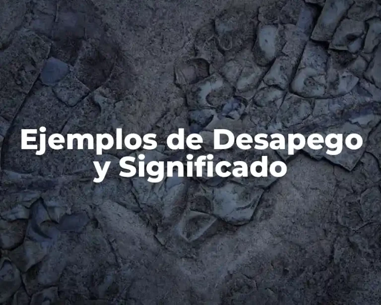 Ejemplos de Desapego y Significado