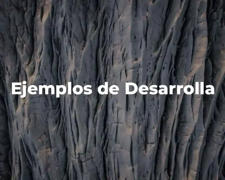 Ejemplos de Desarrolla