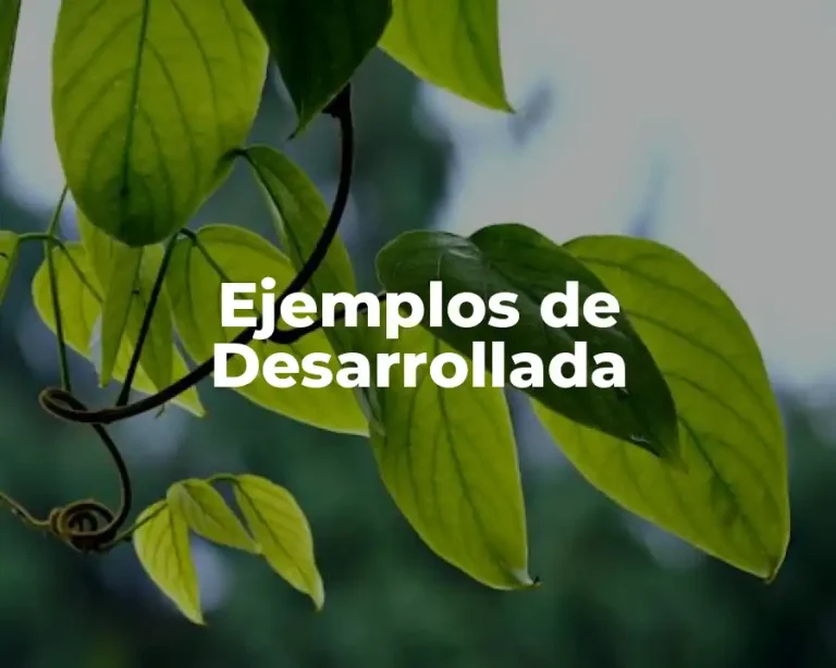 Ejemplos de Desarrollada