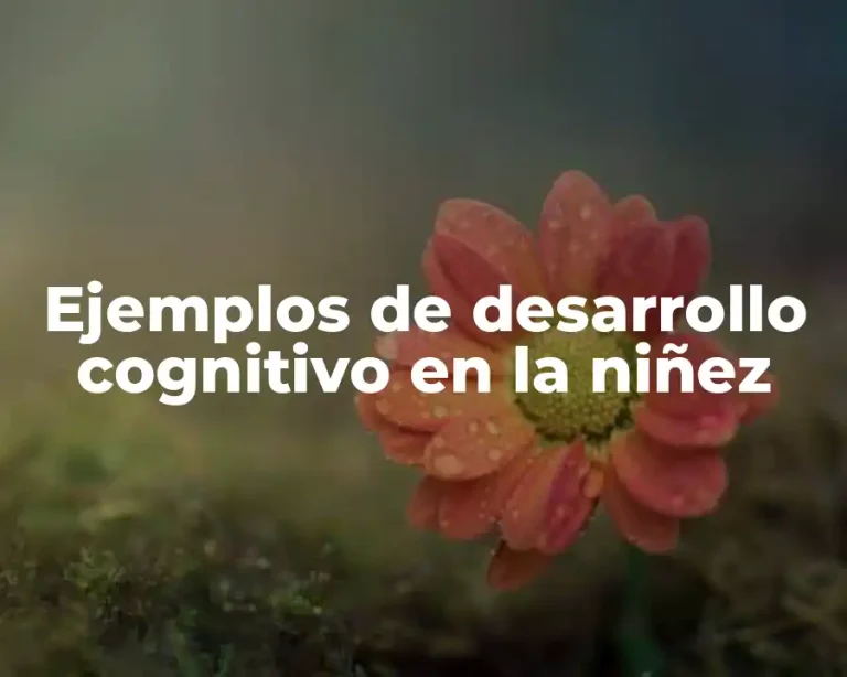 Ejemplos de desarrollo cognitivo en la niñez