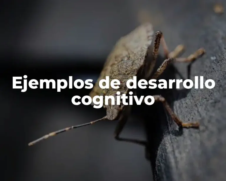 Ejemplos de desarrollo cognitivo