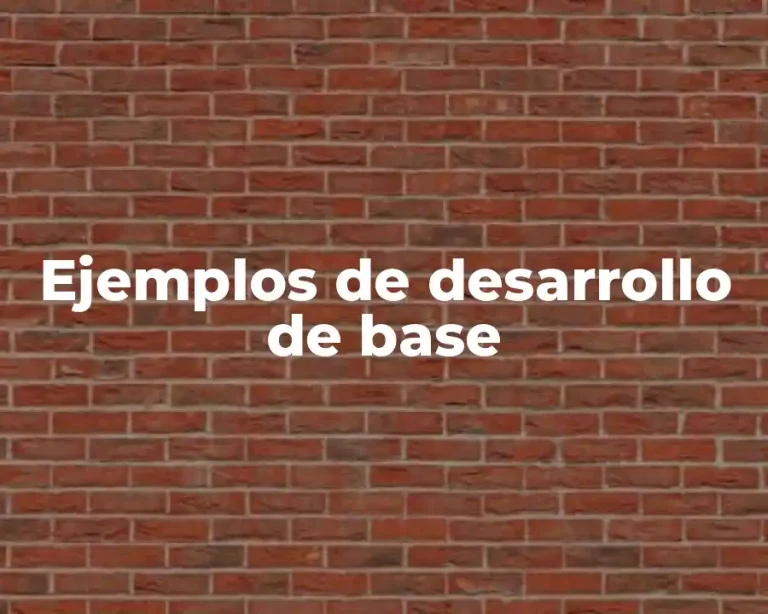 Ejemplos de desarrollo de base
