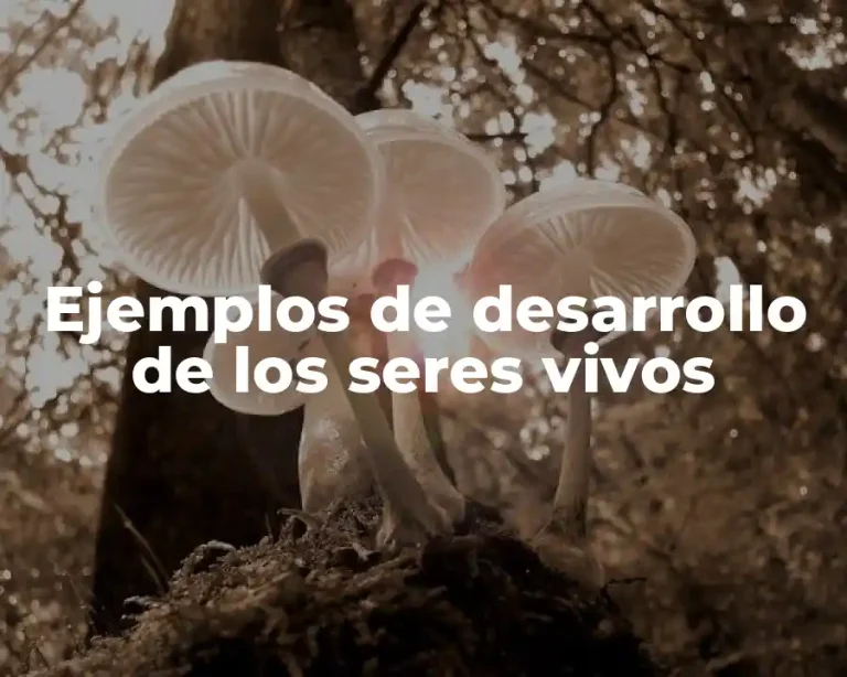 Ejemplos de desarrollo de los seres vivos