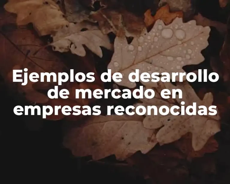 Ejemplos de desarrollo de mercado en empresas reconocidas