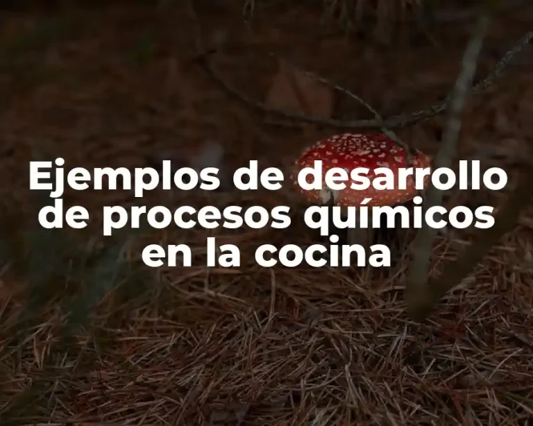 Ejemplos de desarrollo de procesos químicos en la cocina
