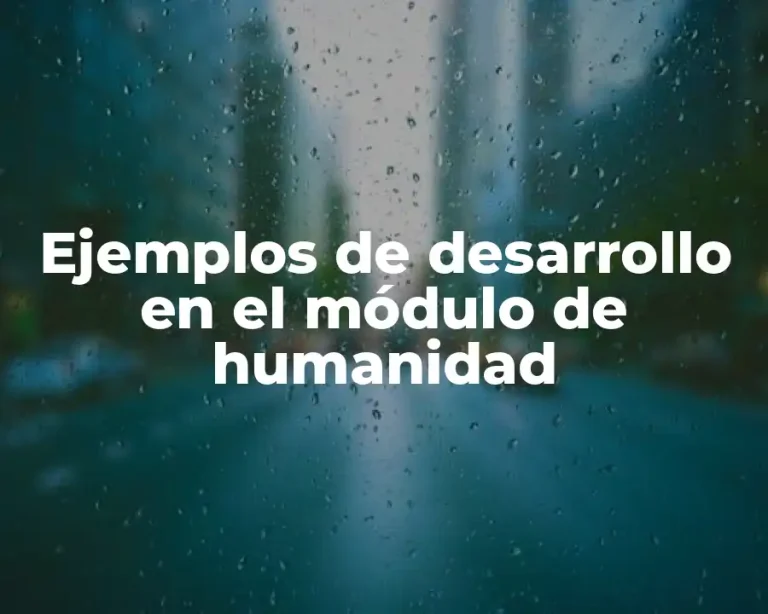 Ejemplos de desarrollo en el módulo de humanidad