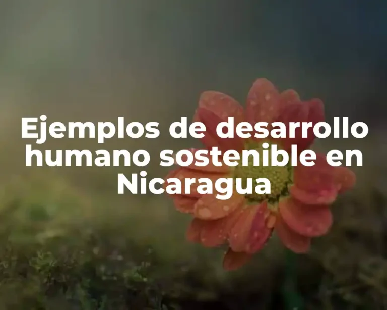 Ejemplos de desarrollo humano sostenible en Nicaragua