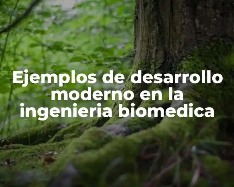 Ejemplos de desarrollo moderno en la ingenieria biomedica