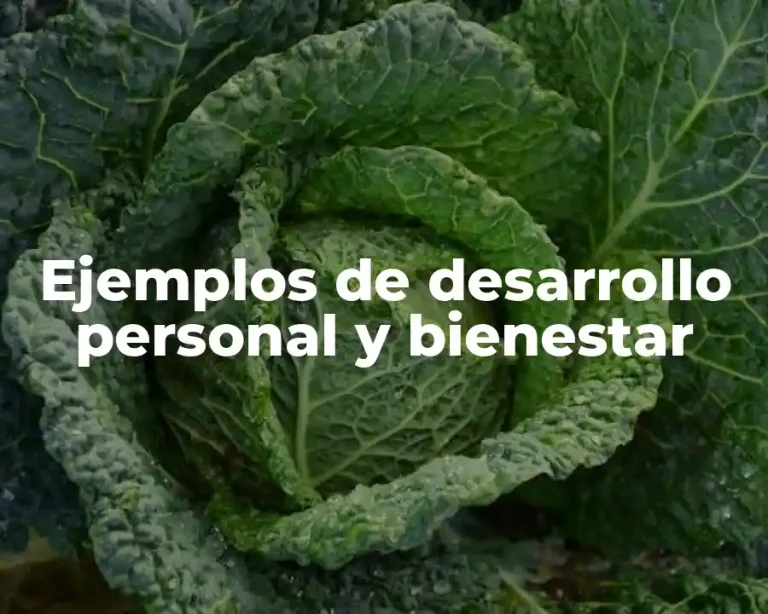Ejemplos de desarrollo personal y bienestar