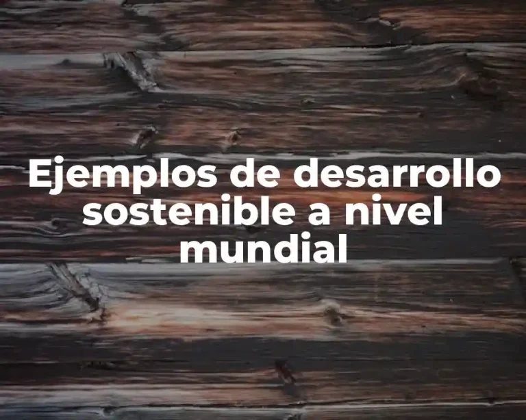 Ejemplos de desarrollo sostenible a nivel mundial