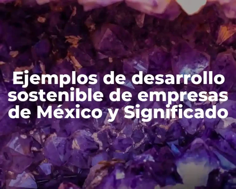 Ejemplos de desarrollo sostenible de empresas de México y Significado