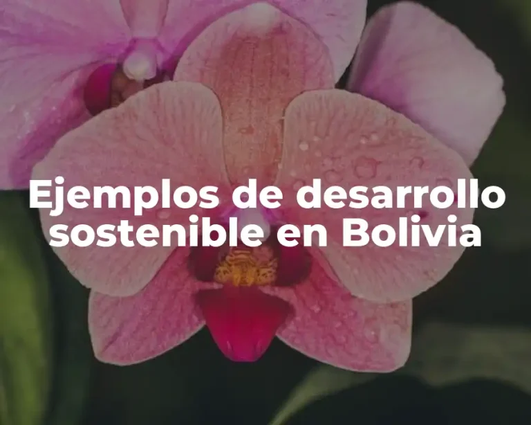 Ejemplos de desarrollo sostenible en Bolivia