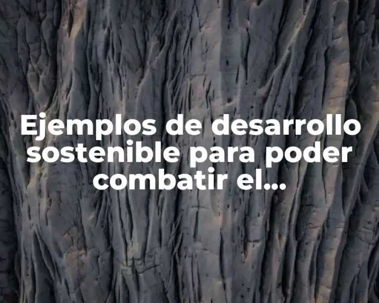 Ejemplos de desarrollo sostenible para poder combatir el calentamiento