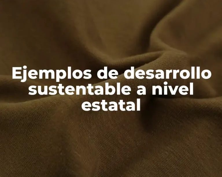 Ejemplos de desarrollo sustentable a nivel estatal