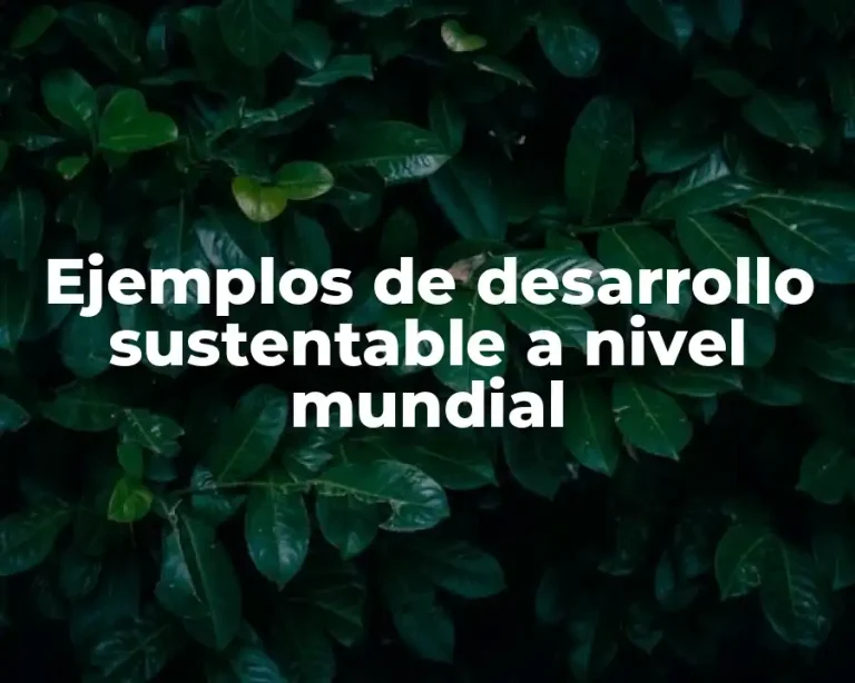 Ejemplos de desarrollo sustentable a nivel mundial