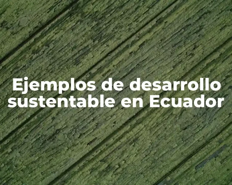 Ejemplos de desarrollo sustentable en Ecuador