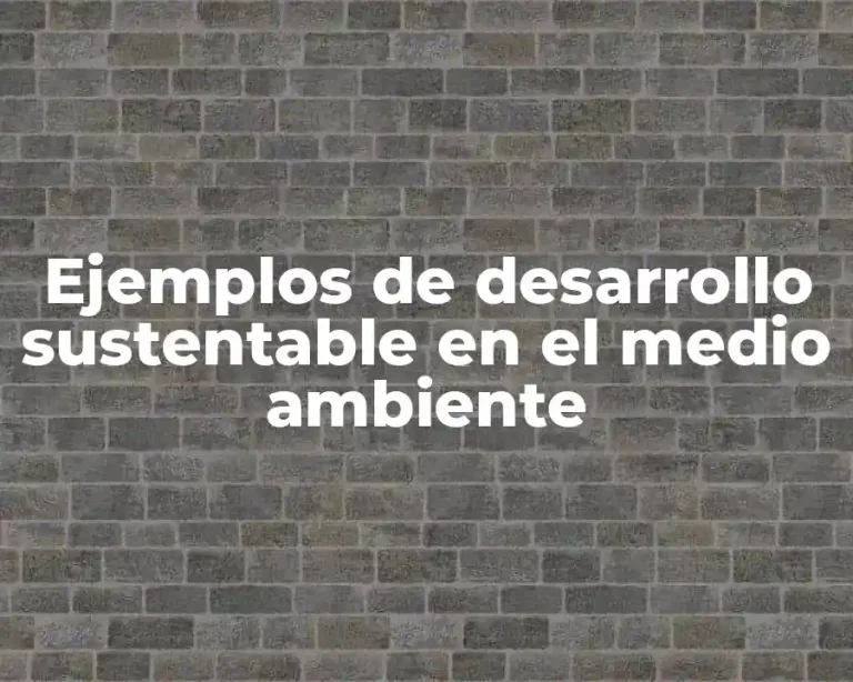 Ejemplos de desarrollo sustentable en el medio ambiente