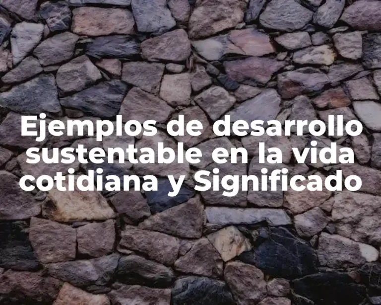 Ejemplos de desarrollo sustentable en la vida cotidiana y Significado