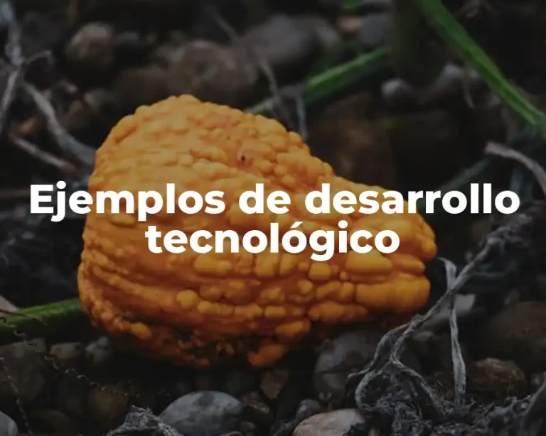 Ejemplos de desarrollo tecnológico