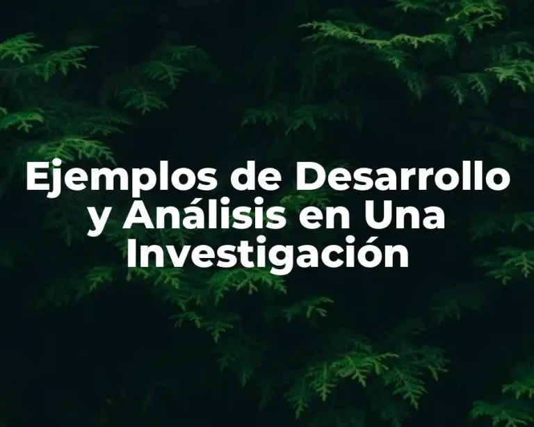 Ejemplos de Desarrollo y Análisis en Una Investigación