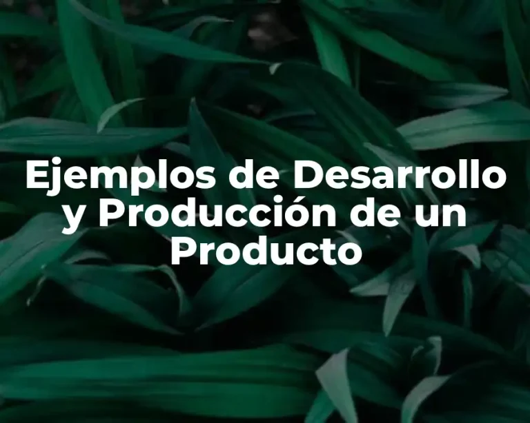 Ejemplos de Desarrollo y Producción de un Producto