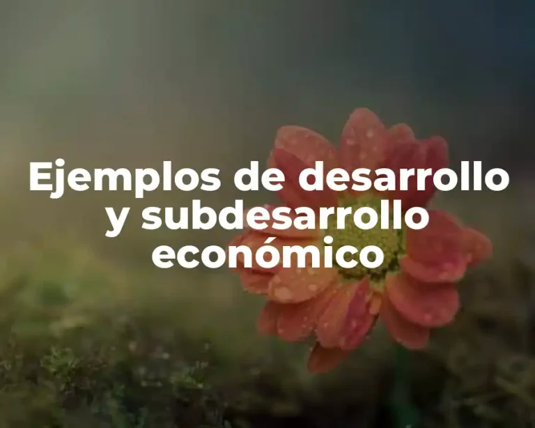 Ejemplos de desarrollo y subdesarrollo económico