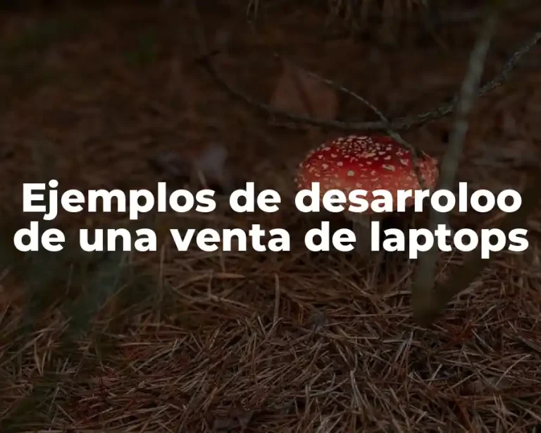 Ejemplos de desarroloo de una venta de laptops