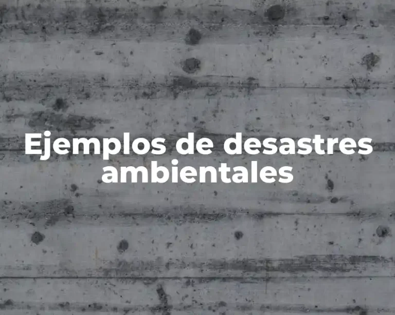 Ejemplos de desastres ambientales