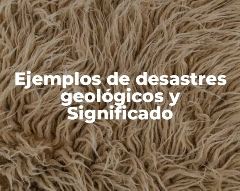 Ejemplos de desastres geológicos y Significado