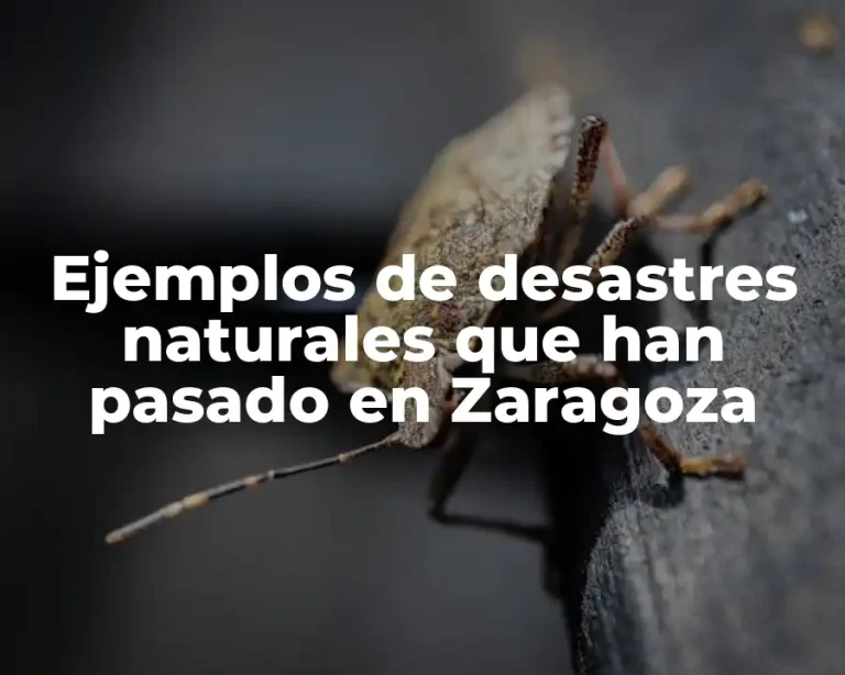 Ejemplos de desastres naturales que han pasado en Zaragoza