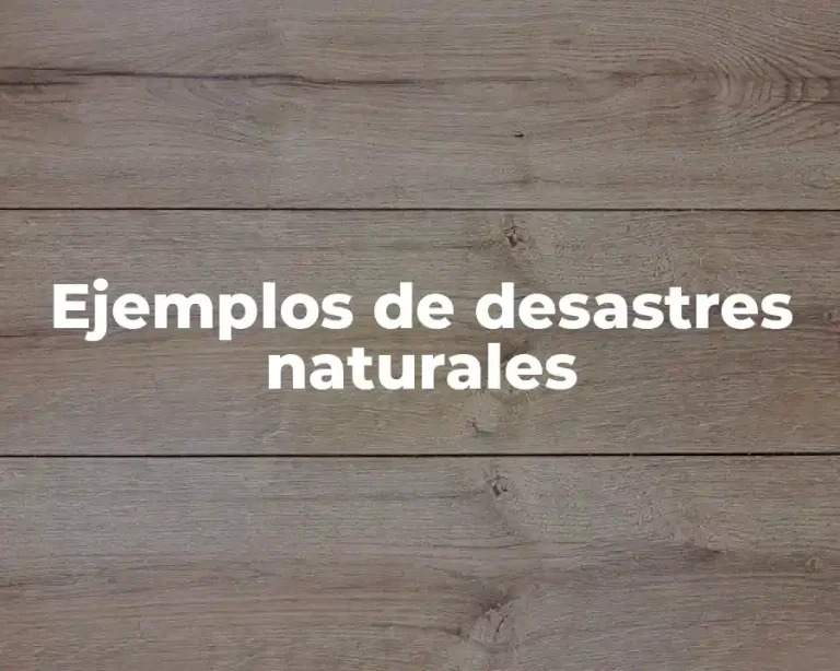 Ejemplos de desastres naturales