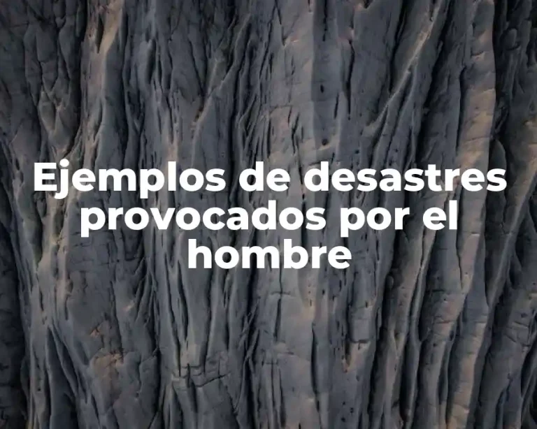 Ejemplos de desastres provocados por el hombre