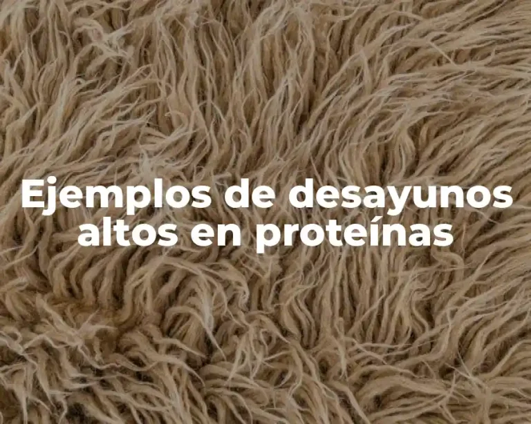 Ejemplos de desayunos altos en proteínas