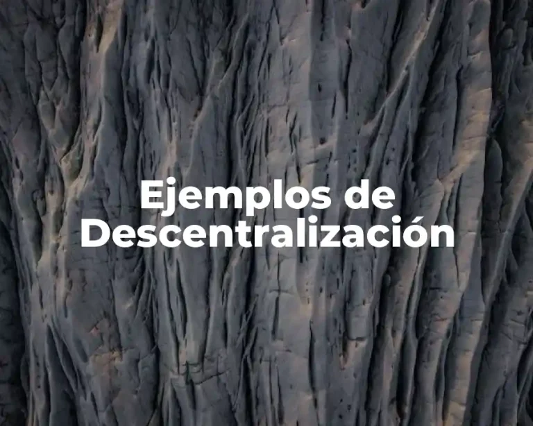 Ejemplos de Descentralización