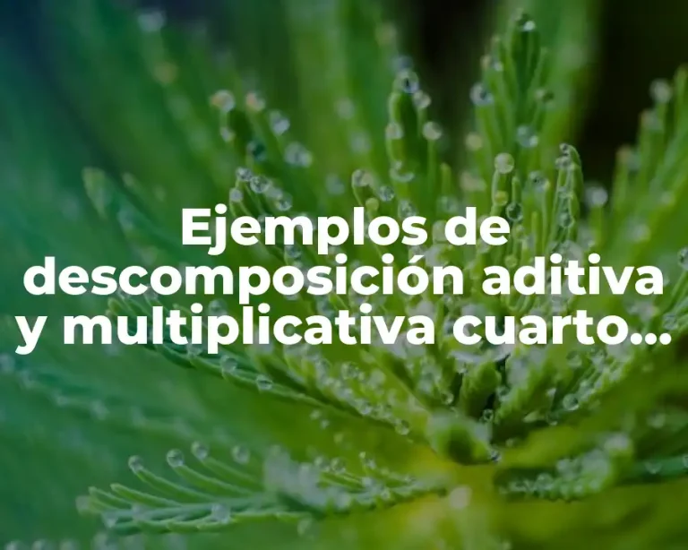 Ejemplos de descomposición aditiva y multiplicativa cuarto grado